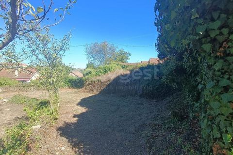 Villa a Tondela, Viseu, Tondela - € 48.000 | Ref: VS96931 - foto 17