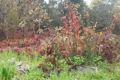 Helårsgrund i Mangualde, Viseu, Mangualde - € 15.000 | Ref: ZMPT575483 - foto 3