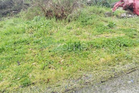 Helårsgrund i Mangualde, Viseu, Mangualde - € 15.000 | Ref: ZMPT575483 - foto 4