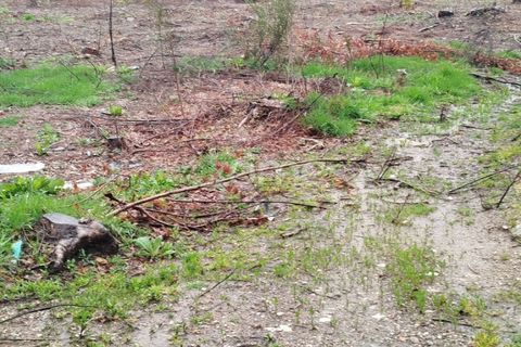 Helårsgrund i Mangualde, Viseu, Mangualde - € 15.000 | Ref: ZMPT575483 - foto 5