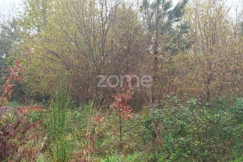Helårsgrund i Mangualde, Viseu, Mangualde - € 15.000 | Ref: ZMPT575483 - foto 6