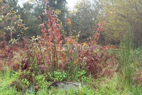 Helårsgrund i Mangualde, Viseu, Mangualde - € 15.000 | Ref: ZMPT575483 - foto 7