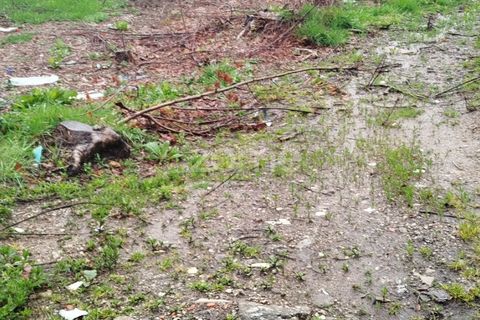 Helårsgrund i Mangualde, Viseu, Mangualde - € 15.000 | Ref: ZMPT575483 - foto 9