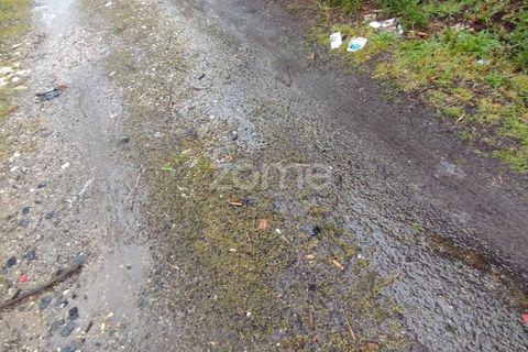 Helårsgrund i Mangualde, Viseu, Mangualde - € 15.000 | Ref: ZMPT575483 - foto 10
