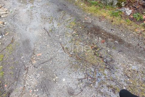 Helårsgrund i Mangualde, Viseu, Mangualde - € 15.000 | Ref: ZMPT575483 - foto 11