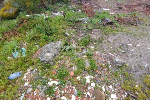 Helårsgrund i Mangualde, Viseu, Mangualde - € 15.000 | Ref: ZMPT575483 - foto 13