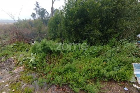 Helårsgrund i Mangualde, Viseu, Mangualde - € 15.000 | Ref: ZMPT575483 - foto 16