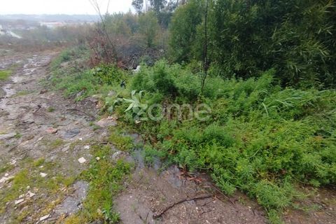 Helårsgrund i Mangualde, Viseu, Mangualde - € 15.000 | Ref: ZMPT575483 - foto 17