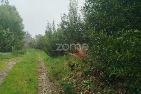 Helårsgrund i Mangualde, Viseu, Mangualde - € 15.000 | Ref: ZMPT575483 - foto 18