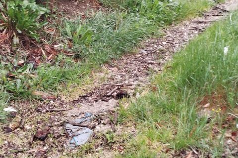 Helårsgrund i Mangualde, Viseu, Mangualde - € 15.000 | Ref: ZMPT575483 - foto 20