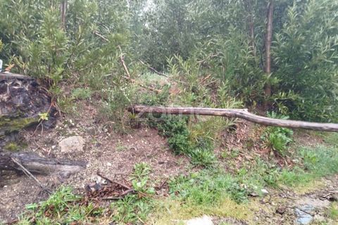 Helårsgrund i Mangualde, Viseu, Mangualde - € 15.000 | Ref: ZMPT575483 - foto 21
