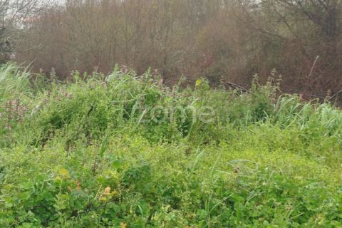 Helårsgrund i Mangualde, Viseu, Mangualde - € 15.000 | Ref: ZMPT575483 - foto 23