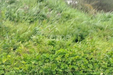 Helårsgrund i Mangualde, Viseu, Mangualde - € 15.000 | Ref: ZMPT575483 - foto 24