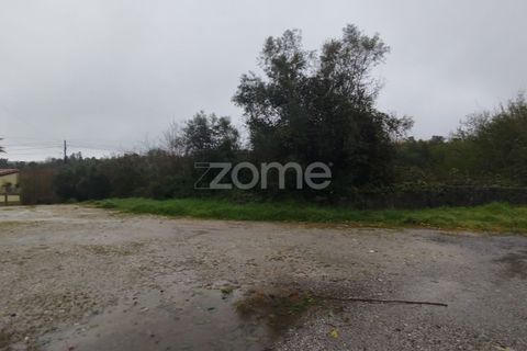 Helårsgrund i Mangualde, Viseu, Mangualde - € 15.000 | Ref: ZMPT575483 - foto 25