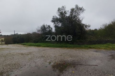 Helårsgrund i Mangualde, Viseu, Mangualde - € 15.000 | Ref: ZMPT575483 - foto 26