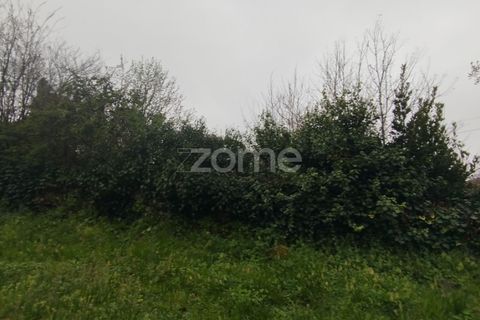 Helårsgrund i Mangualde, Viseu, Mangualde - € 15.000 | Ref: ZMPT575483 - foto 27