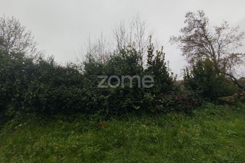 Helårsgrund i Mangualde, Viseu, Mangualde - € 15.000 | Ref: ZMPT575483 - foto 28