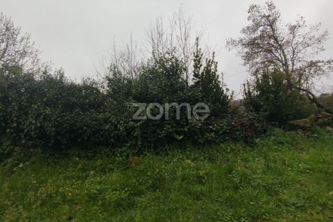 Helårsgrund i Mangualde, Viseu, Mangualde - € 15.000 | Ref: ZMPT575483 - foto 29