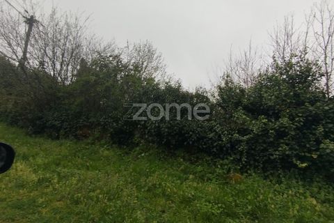 Helårsgrund i Mangualde, Viseu, Mangualde - € 15.000 | Ref: ZMPT575483 - foto 30