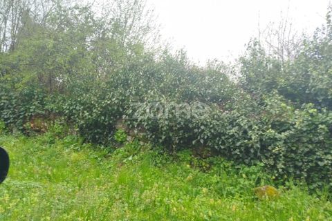 Helårsgrund i Mangualde, Viseu, Mangualde - € 15.000 | Ref: ZMPT575483 - foto 31