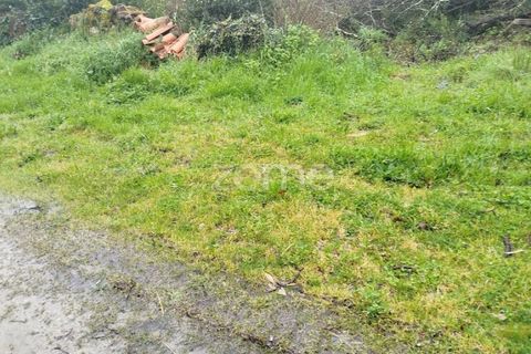 Helårsgrund i Mangualde, Viseu, Mangualde - € 15.000 | Ref: ZMPT575483 - foto 32