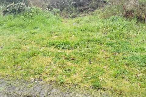 Helårsgrund i Mangualde, Viseu, Mangualde - € 15.000 | Ref: ZMPT575483 - foto 33