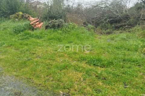 Helårsgrund i Mangualde, Viseu, Mangualde - € 15.000 | Ref: ZMPT575483 - foto 34