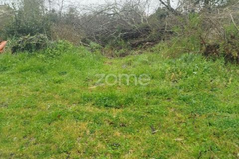 Helårsgrund i Mangualde, Viseu, Mangualde - € 15.000 | Ref: ZMPT575483 - foto 35
