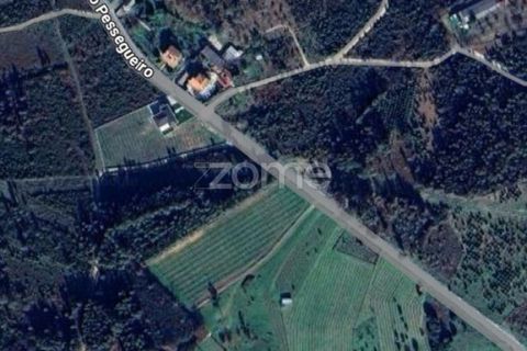 Helårsgrund i Mangualde, Viseu, Mangualde - € 15.000 | Ref: ZMPT575483 - foto 37