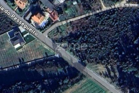 Helårsgrund i Mangualde, Viseu, Mangualde - € 15.000 | Ref: ZMPT575483 - foto 38