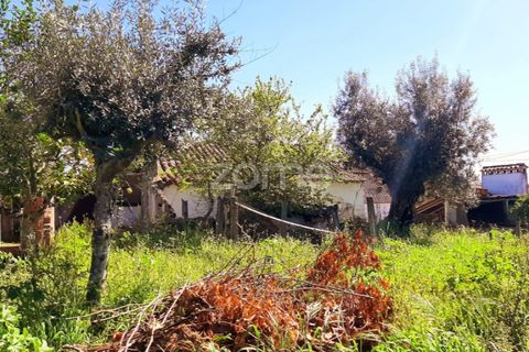 Haus in Abrantes, Santarem, Abrantes - € 65.000 | Ref: ZMPT575203 - Foto 8