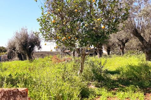 Haus in Abrantes, Santarem, Abrantes - € 65.000 | Ref: ZMPT575203 - Foto 9