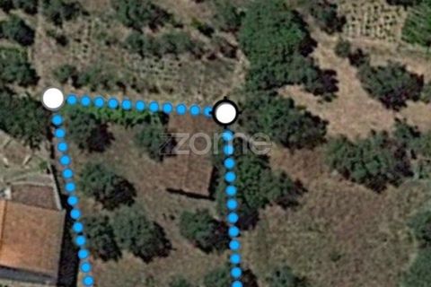 Haus in Abrantes, Santarem, Abrantes - € 65.000 | Ref: ZMPT575203 - Foto 12