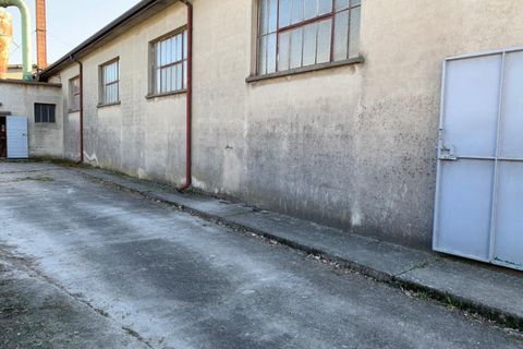 Erhvervsejendom i Trecenta, Rovigo, Trecenta - € 75.000 | Ref: OBV545 - foto 5