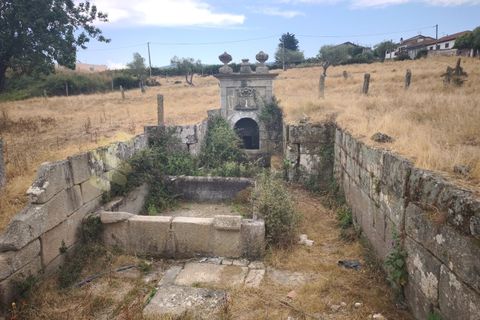 Farm i Chaves, Vila Real, Chaves - € 520.000 | Ref: MAS_103 - foto 3