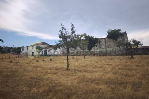 Farm i Chaves, Vila Real, Chaves - € 520.000 | Ref: MAS_103 - foto 9