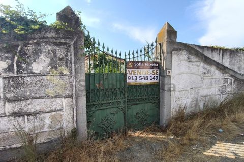 Farm i Chaves, Vila Real, Chaves - € 520.000 | Ref: MAS_103 - foto 11