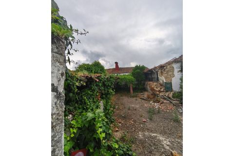 Farm i Chaves, Vila Real, Chaves - € 520.000 | Ref: MAS_103 - foto 13