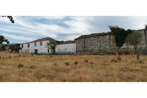 Farm i Chaves, Vila Real, Chaves - € 520.000 | Ref: MAS_103 - foto 15