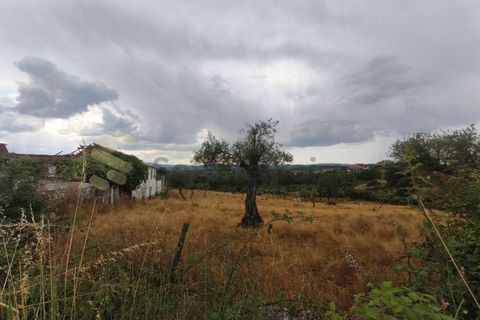 Farm i Chaves, Vila Real, Chaves - € 520.000 | Ref: MAS_103 - foto 16
