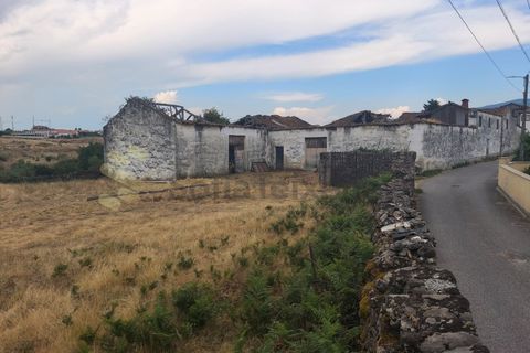 Farm i Chaves, Vila Real, Chaves - € 520.000 | Ref: MAS_103 - foto 19
