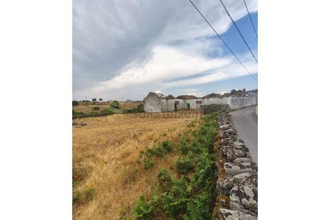 Farm i Chaves, Vila Real, Chaves - € 520.000 | Ref: MAS_103 - foto 21