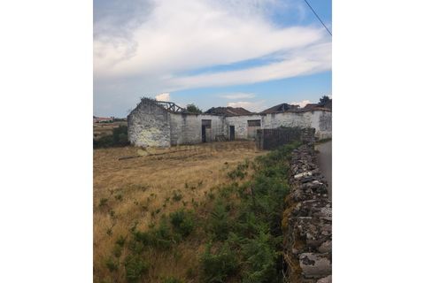 Farm i Chaves, Vila Real, Chaves - € 520.000 | Ref: MAS_103 - foto 22