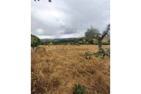 Farm i Chaves, Vila Real, Chaves - € 520.000 | Ref: MAS_103 - foto 24