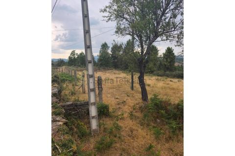 Farm i Chaves, Vila Real, Chaves - € 520.000 | Ref: MAS_103 - foto 25