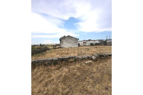 Farm i Chaves, Vila Real, Chaves - € 520.000 | Ref: MAS_103 - foto 29