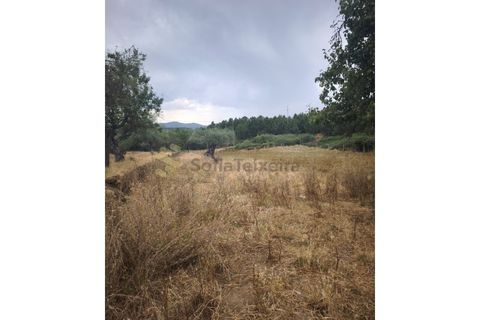 Farm i Chaves, Vila Real, Chaves - € 520.000 | Ref: MAS_103 - foto 31