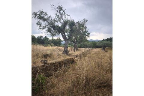 Farm i Chaves, Vila Real, Chaves - € 520.000 | Ref: MAS_103 - foto 33