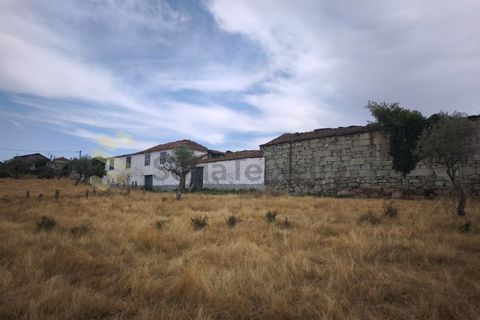 Farm i Chaves, Vila Real, Chaves - € 520.000 | Ref: MAS_103 - foto 36