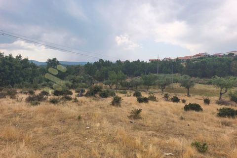 Farm i Chaves, Vila Real, Chaves - € 520.000 | Ref: MAS_103 - foto 38